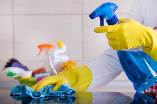 Carpet cleaning service terms and conditions introductory section