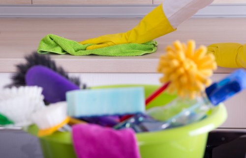 Professional home cleaners in Ilford working in a bright living room
