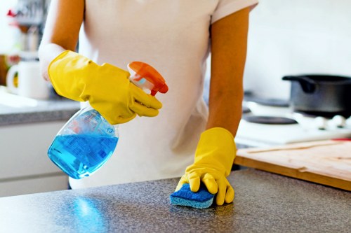 Regular house cleaning in Ilford supporting a healthier home environment