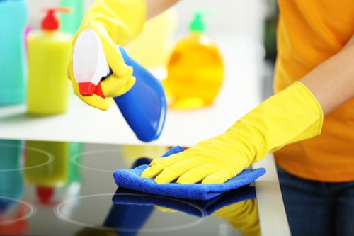 Detailed kitchen and bathroom deep cleaning service in Ilford