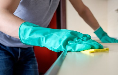 Detailed carpet care process in a clean residential setting