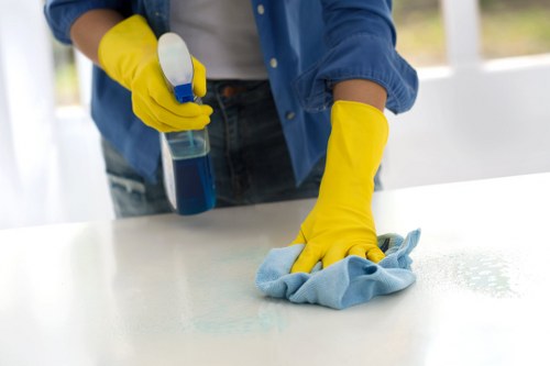 Local domestic cleaning in Ilford for a fresh and organised home