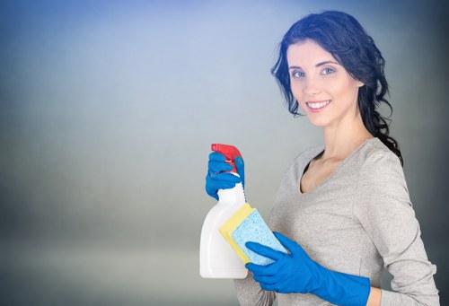 Booking and customer responsibility details for carpet cleaning services