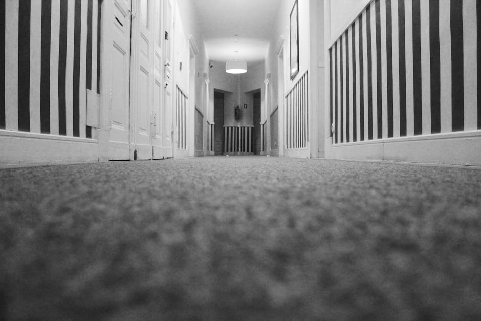A professional cleaner from Ilford Carpet Cleaning is performing deep carpet cleaning in a living room, using a steam cleaning machine that emits white vapor onto a beige carpet. The room features a l